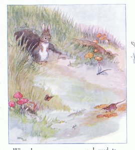 When I Was Very, Very Young by Anne Anderson